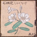 ��쒬����