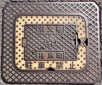 �Y�������ΐ�