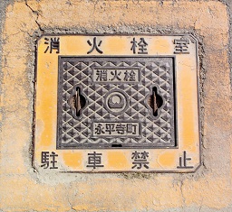 �i���������ΐ�