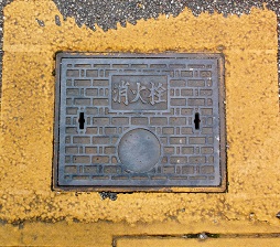 �i���������ΐ�