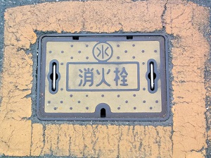 �i���������ΐ�