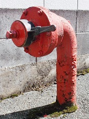 ���l�s���̏��ΐ�