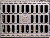 ���䌧���a�W