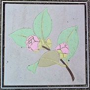 ���l�s����