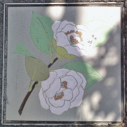 ���l�s����