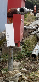 ���H�����̏��ΐ�