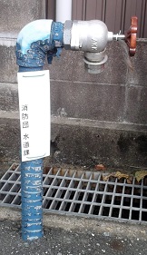 ���H�����̏��ΐ�