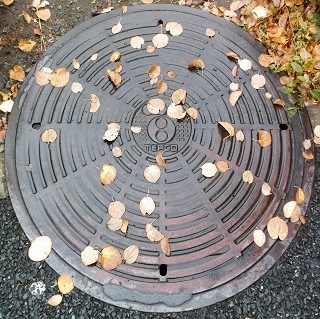 �����d�̓}���z�[��