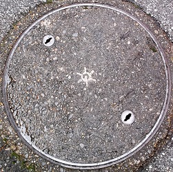 �����s�}���z�[��