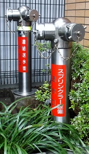 �����s������