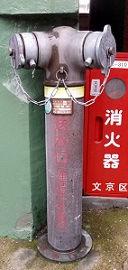 �����s������