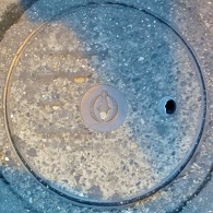 ��t�s�}���z�[��