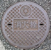 ��t�������Ǐ��ΐ�