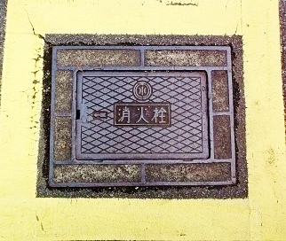 ��t�������Ǐ��ΐ�