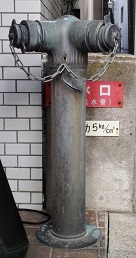 ��t�s������