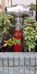 ��t�s������