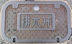 ��t�s�r����