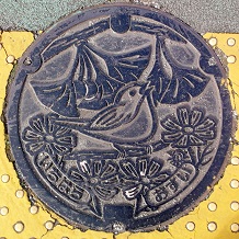 �s���s�}���z�[��