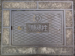 ��t�������Ǐ��ΐ�