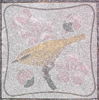 �s���s����