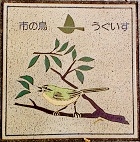 �s���s����