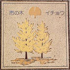 �s���s����