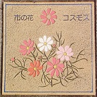 �s���s����