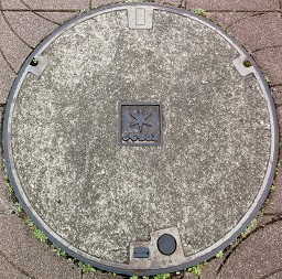 ��t�������a