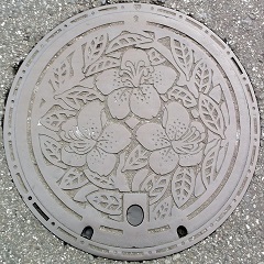 �Ό��s�}���z�[��