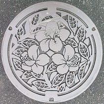 �Ό��s�}���z�[��