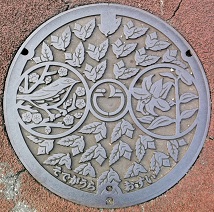 ���P�Y�s�}���z�[��