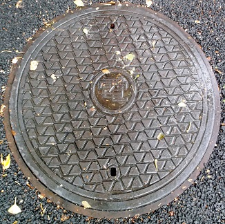 ������w�}���z�[��