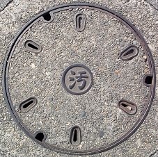 �䑷�q�s�}���z�[��