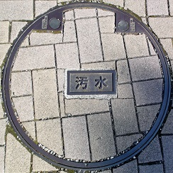 �䑷�q�s�}���z�[��