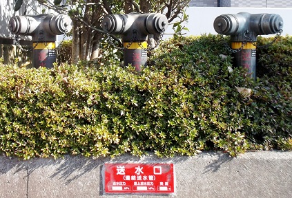 �䑷�q�s������