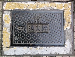 ��t���������ΐ�