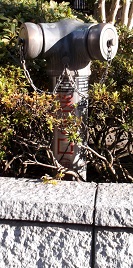 ���ˎs������