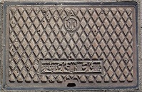 ���������ʐ���