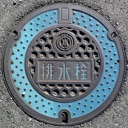 ��t�������r����