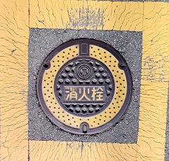 ��t���������ΐ�