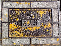 ��t���������ΐ�