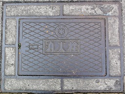 ��t���������ΐ�