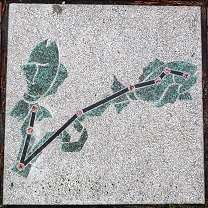 �]�Îs�^�C��