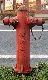 �v�c�s���̏��ΐ�