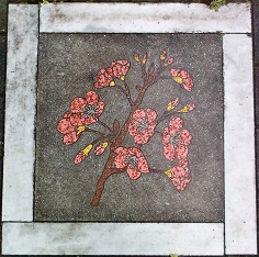 ���I�s�^�C��