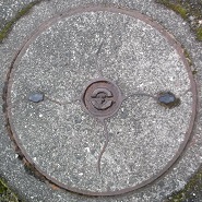 �R�z���}���z�[��