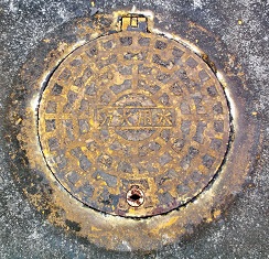 �R�z���h�ΐ���