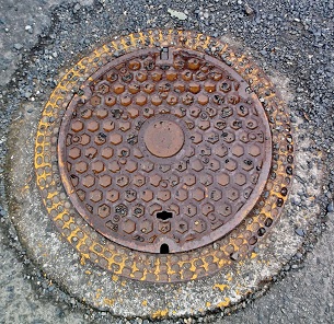 �R�z���h�ΐ���