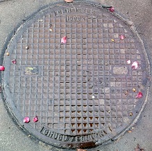 �������}���z�[��