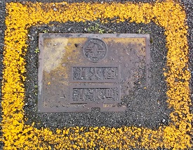 ���������ΐ�